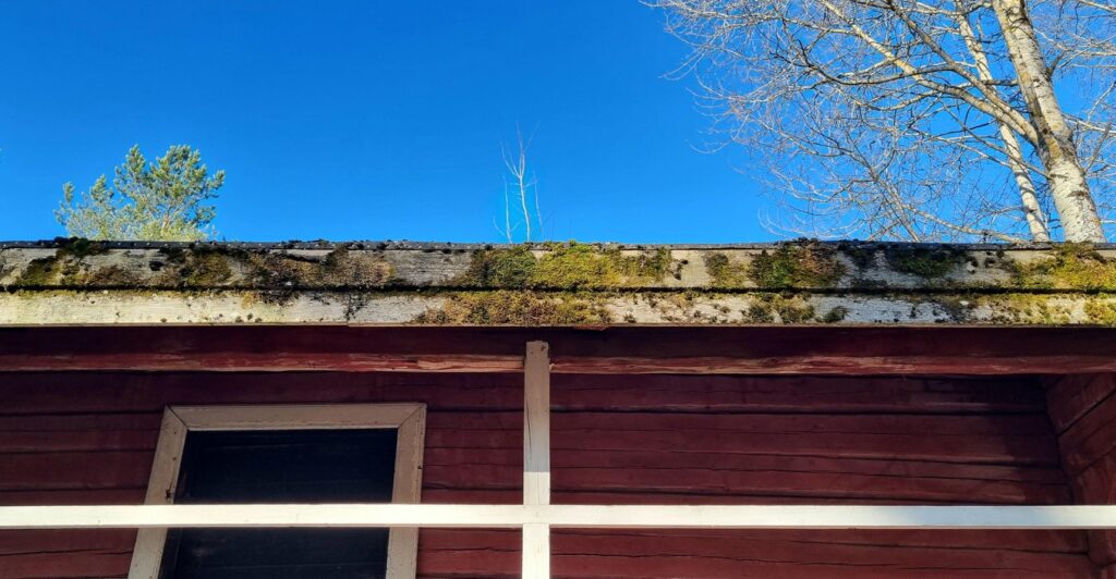 aitan räystäslauta